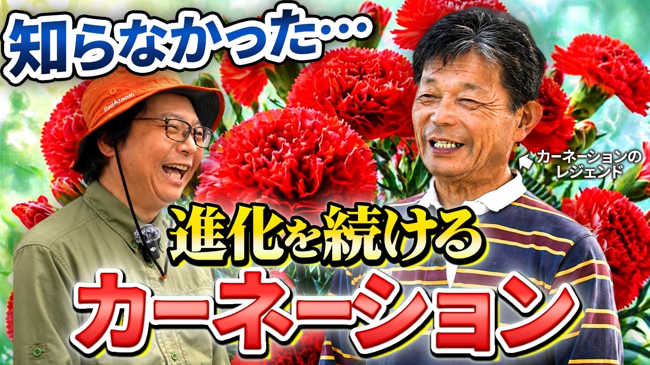 Visit Episode ~Yamatsuri Horticulture~ I didn't know Carnations