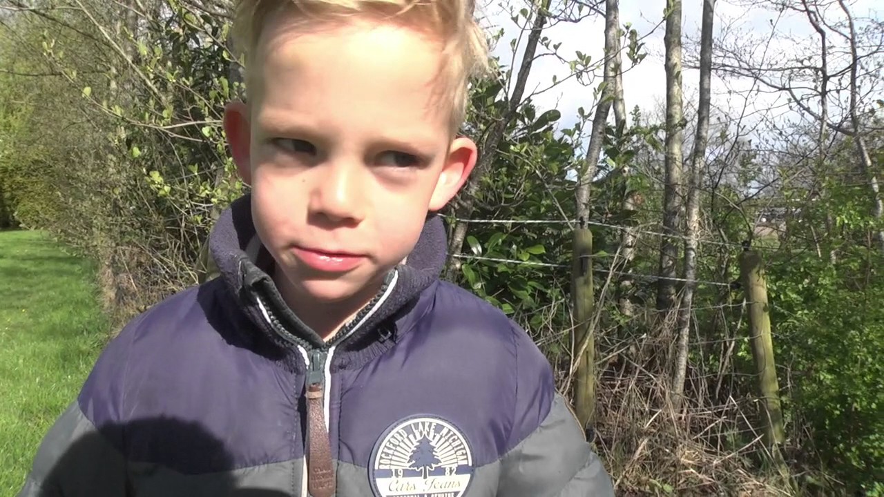 Paaseieren zoeken in Boelenslaan