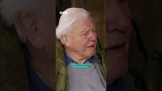 The LEGEND that is Sir David Attenborough #WildIsles, coming soon to #iPlayer