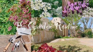 《ガーデンルーティン》ガーデニング＊花いっぱいの庭づくり《T's Garden》