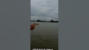 River cruise Teluk intan Perak