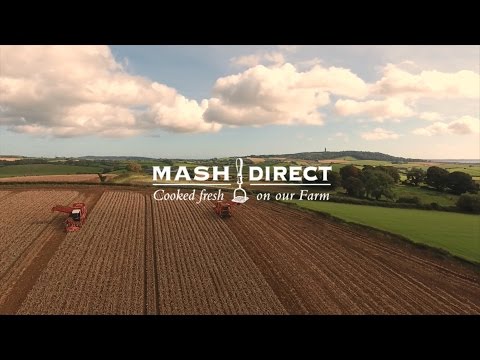 Mash Direct, Potato