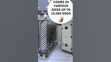 Hatching Time T-Series Industrial Incubators