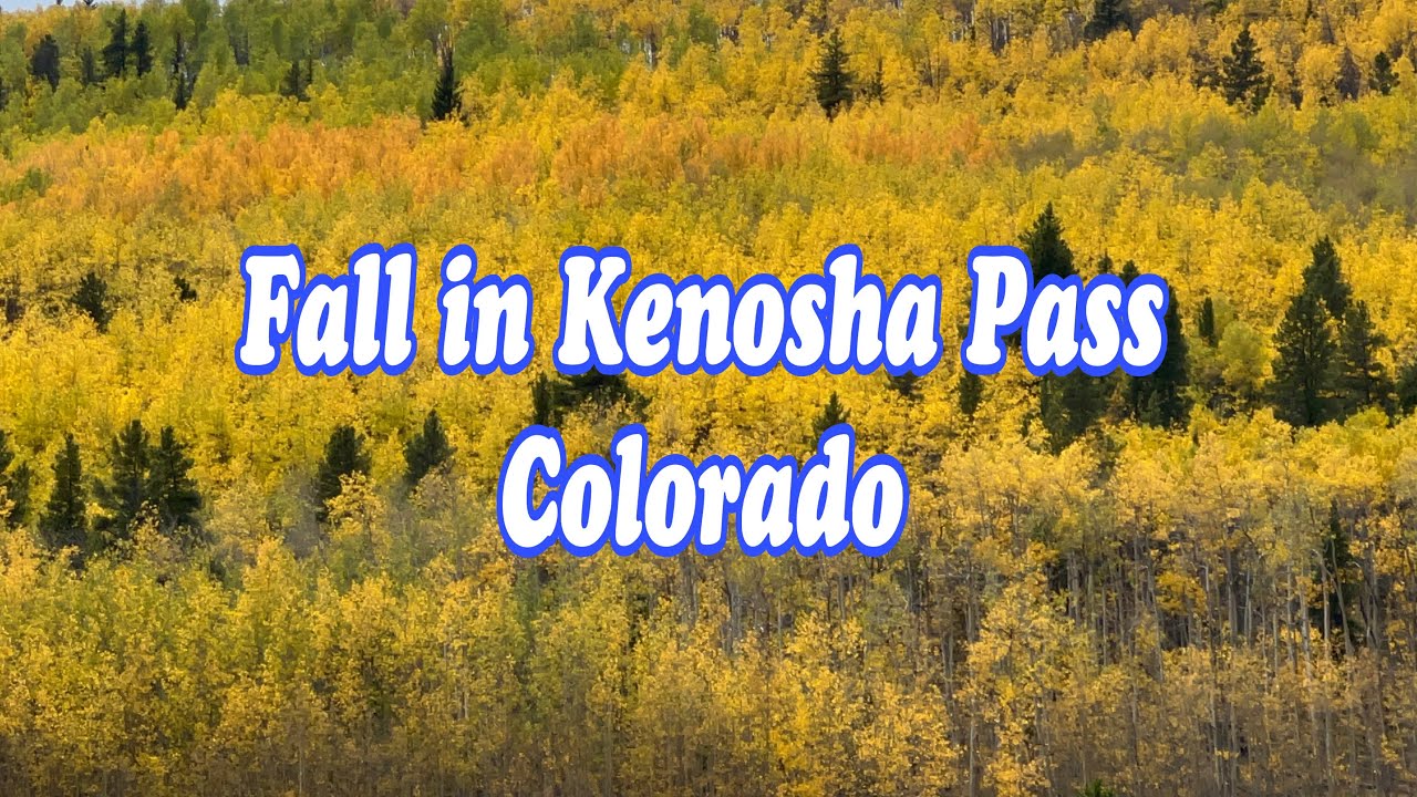 STUNNING FALL FOLIAGE IN KENOSHA PASS, COLORADO ug colorado 