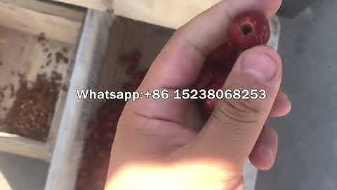 Date plam core remove machine/Red Jujube seed remove machine