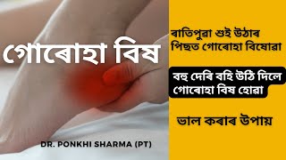 গোৰোহা বিষ সহজতে ভাল কৰিবলৈ কি কৰিব লাগে || Dr. Ponkhi Sharma (PT)