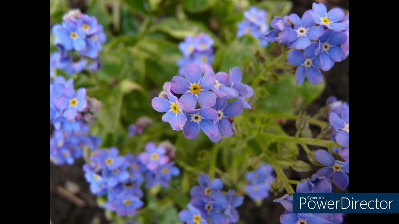 Duch Sv. v nás  25. časť - Viera, či nádej