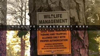 Learn About Paulding County's Wildlife Management Area
