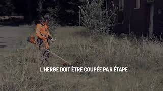 📣 [Tuto jardin] Comment utiliser votre débroussailleuse Husqvarna dans l'herbe haute ?