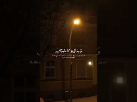 و إ ن ر ب ك ل ذو ف ضل ع ل ى الن اس و لك ن أ كث ر ه م لا ي شك رون اسلام صبحي