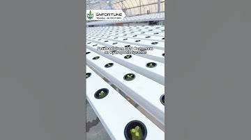 Feedback from G&N Customers  on Hydroponic Systems