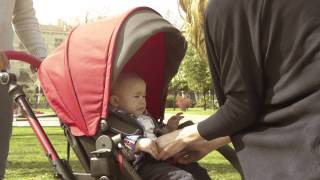 crosswalk matrix jane