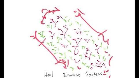 Light Language: Heal Immune System