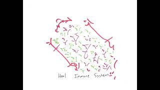 Light Language: Heal Immune System