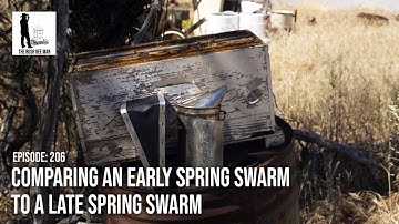 Comparing an Early Spring Swarm to a Late Spring Swarm - The Bush Bee Man