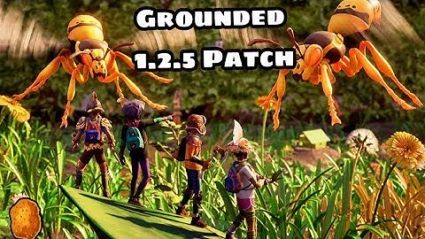 A Very Small Patch for Grounded- 1.2.5 Patch Info