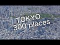 東京都心300ヶ所を45分間飛び続ける