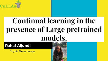 Continual learning in the presence of Large pretrained models - Rahaf Aljundi - CoLLAs 2023