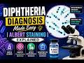 Albert Staining in Microbiology | Step-by-Step + Interpretation