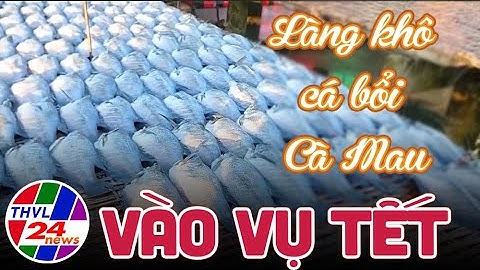 Làng khô cá bổi Cà Mau vào vụ tết