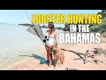 Lobster catch  cook in the bahamas  sailing sunday  vlog 241