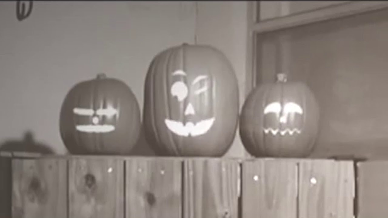 Singing Pumpkins This Is Halloween