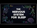 Anatomy & Physiology for Sleep: The Nervous System (Complete 10-Part Course) As You Sleep