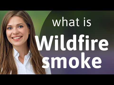 Understanding "Wildfire Smoke": An Essential English Phrase