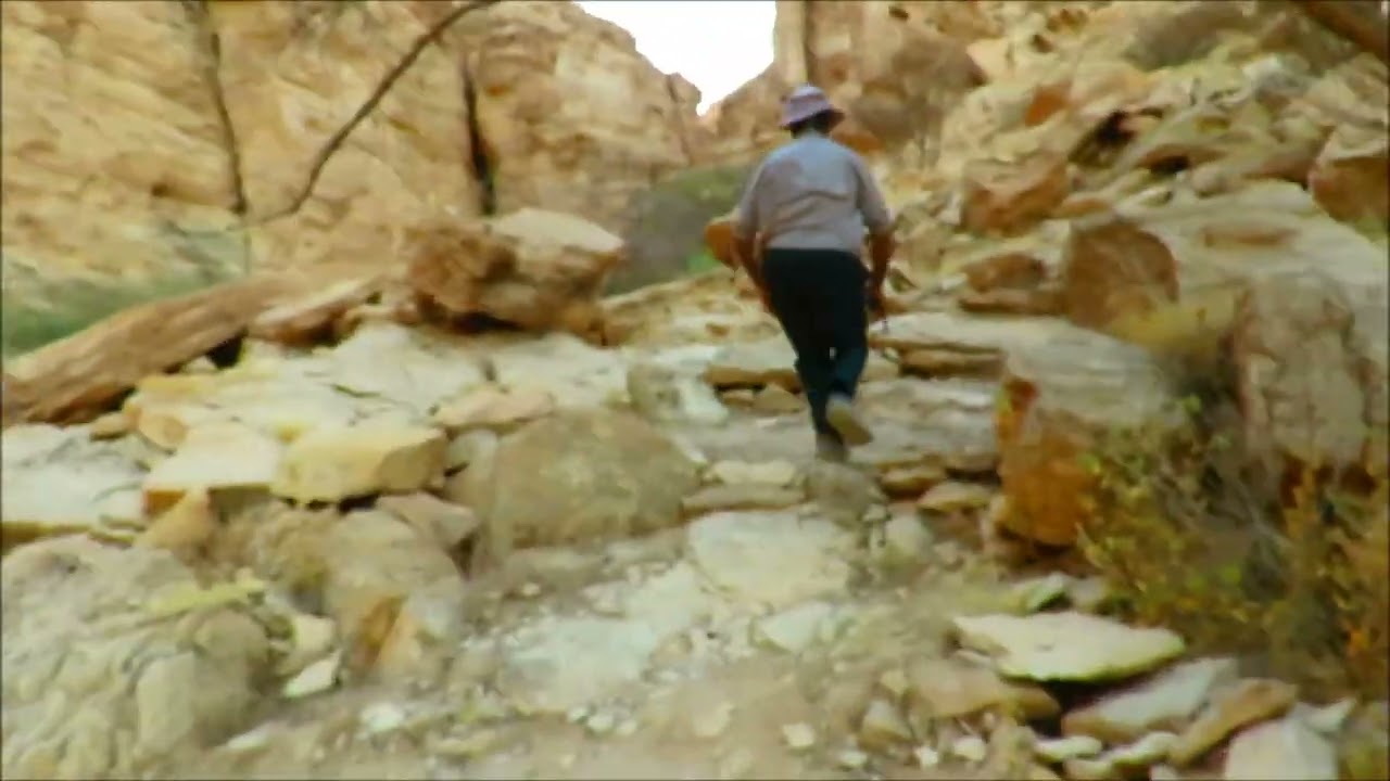 رحلة قصيرة محمية الوعول في حوطة بني تميم الحلوه وادي مطعم شعيب الغابة عين ونبع طبيعي لم ينقطع عذب