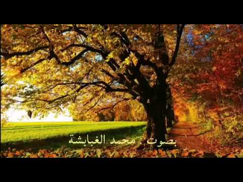 من وحي اغنية فيروز بتشوف بكرا بتشوف كلمات نبيل عماري صوت ومونتاج محمد الغبابشة