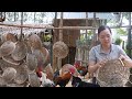 How to weave bamboo baskets for wild chickens to lay eggs amy  green forest life