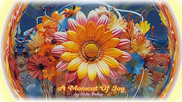 Echo Delay - A Moment Of Joy (Official Video)