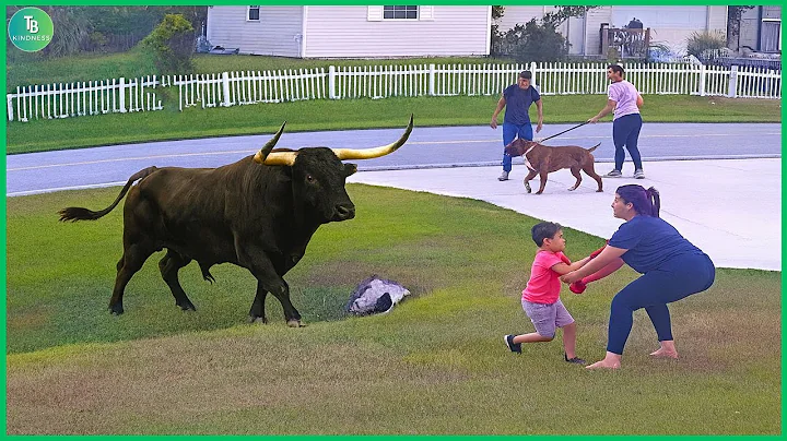 50 Hero Animals That Saved Human Lives | Best Moments of 2025 #12