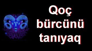 Qoç bürcünü tanıyaq - Sebuhi Rehimli