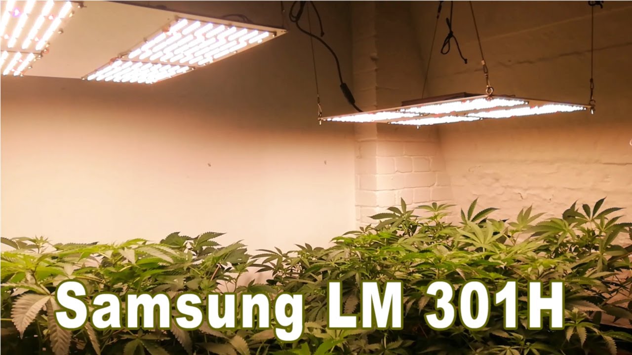 Tao Tronics 24w Led Grow Light