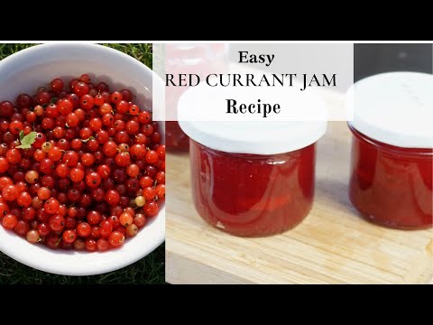 Video: How To Cook Red Currants