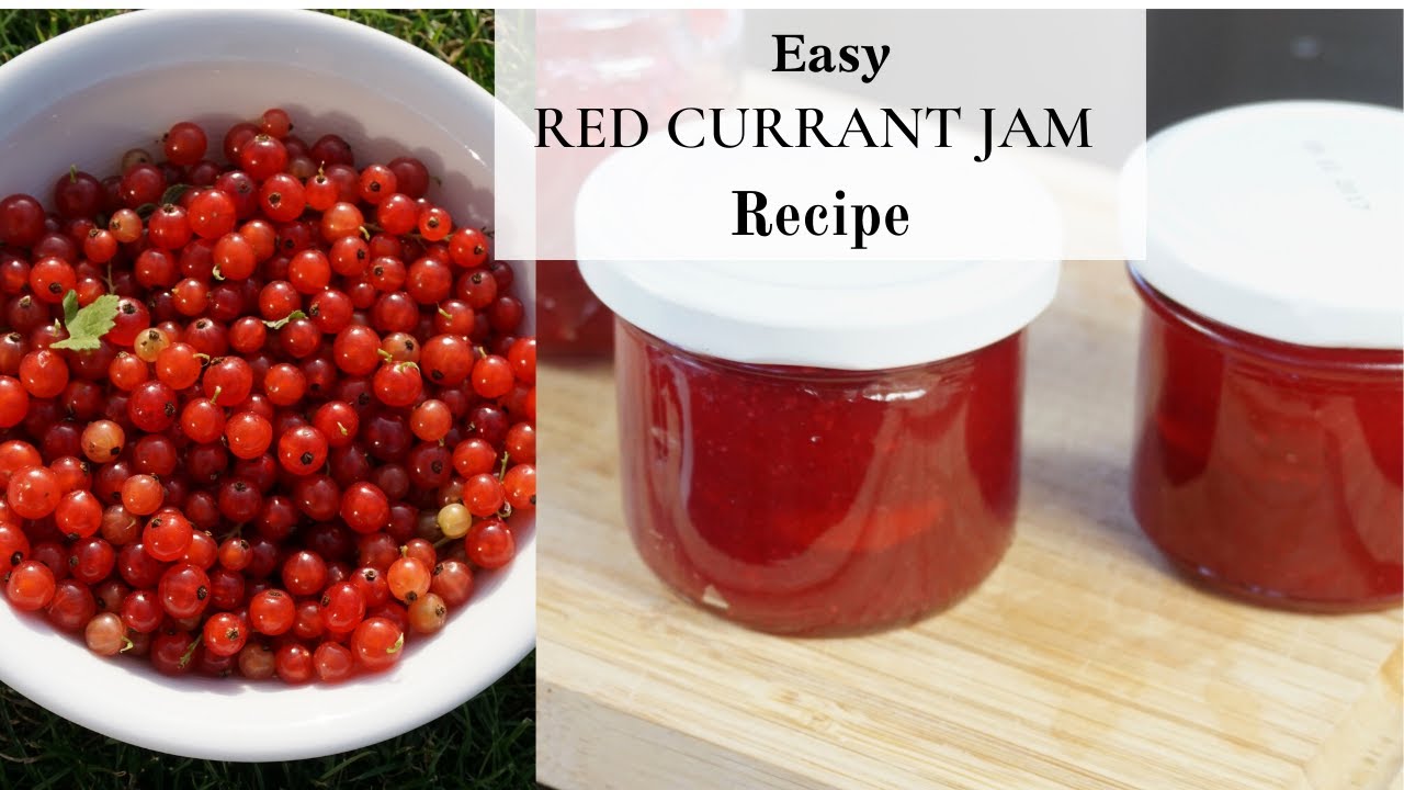 How To Make Redcurrant Jam Easy Recipe Youtube