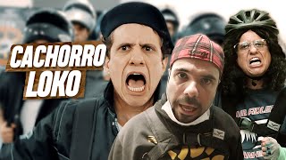 CACHORRO LOKO | EMBRULHA PRA VIAGEM