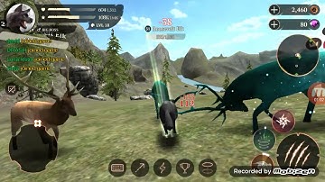 THE WOLF  "ANDROID GAMEPLAY"