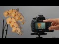Canon 5D tutorial: Manual white balance | lynda.com