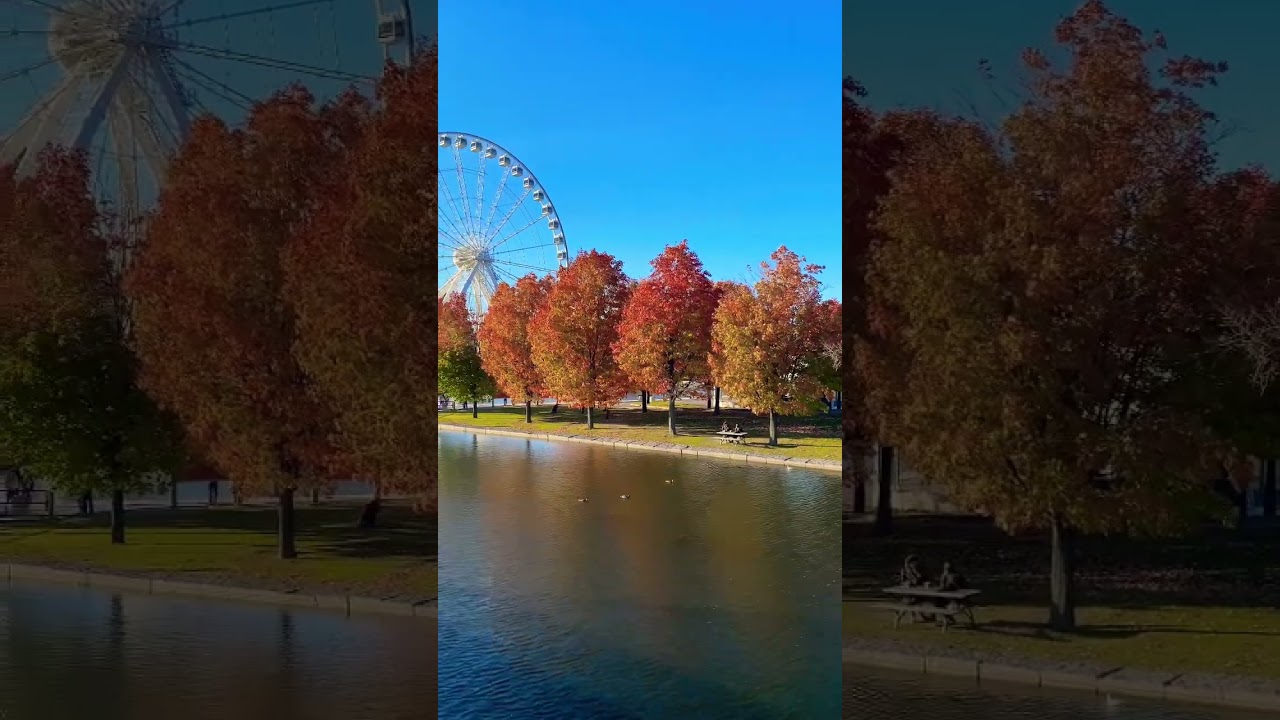 Beautiful autumn in Montréal 