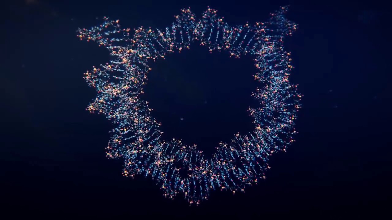 Хромосомы человека. Кариотип | Клеточная биология (Цитология) | НМИЦ им. В. А. Алмазова