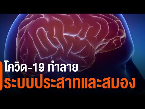 โควิด-19 ทำลายระบบประสาทและสมอง ? : ชัวร์หรือมั่ว (29 ม.ค. 64)