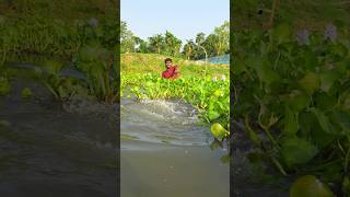 #fishing #fish