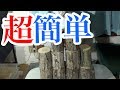フタマタ系の産卵に最適！バクテリア材の作り方！