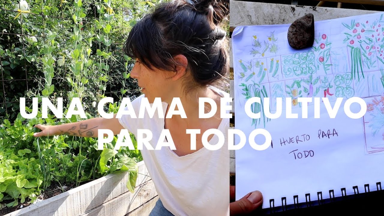 Una cama para todo! Volvemos a solo 1 cama de Cultivo 🌱🤓#PlanificaciondeHuerto #Chaohabasholaporotos