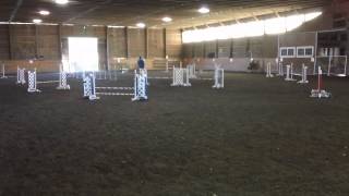Remus in Jumpers Skyline 2014