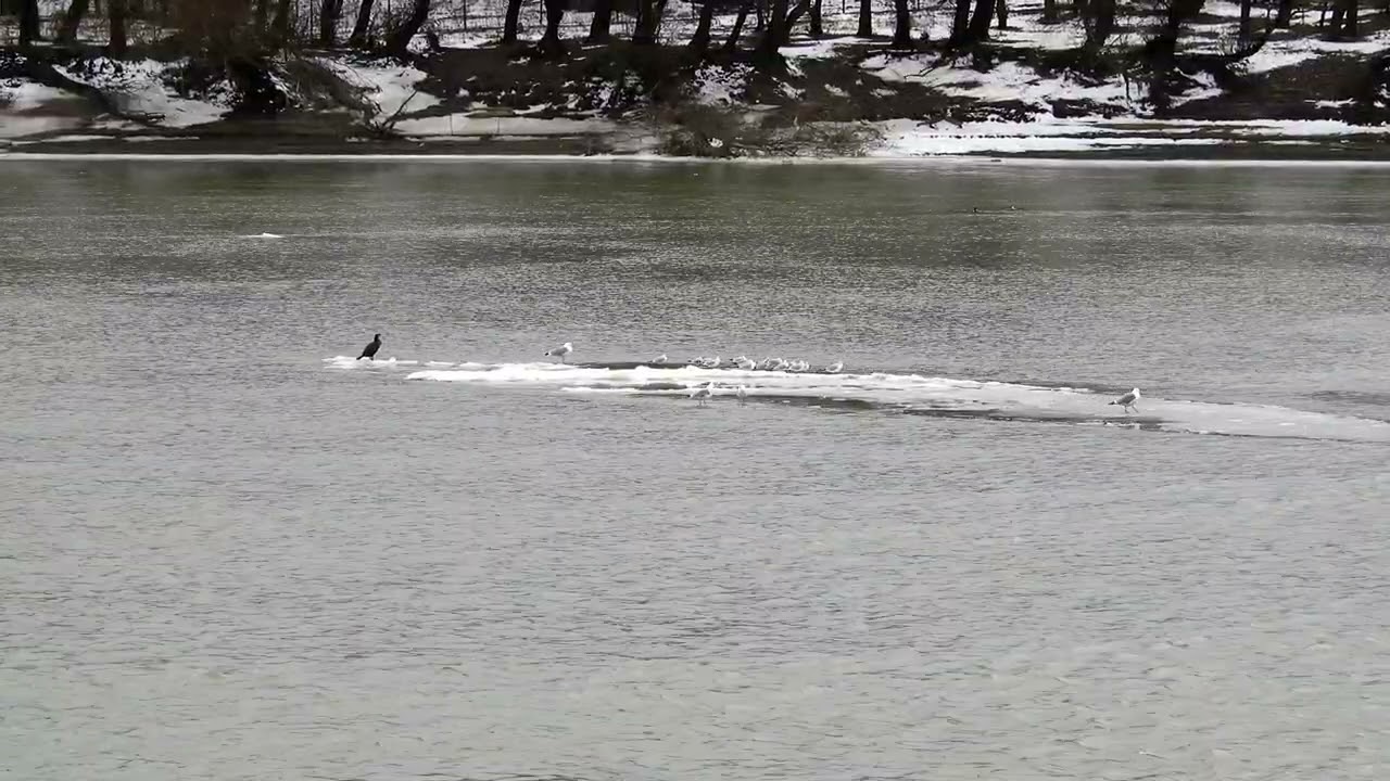 Река кубань на