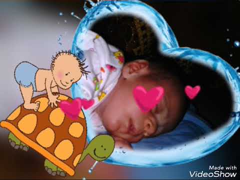 ياابو الريش