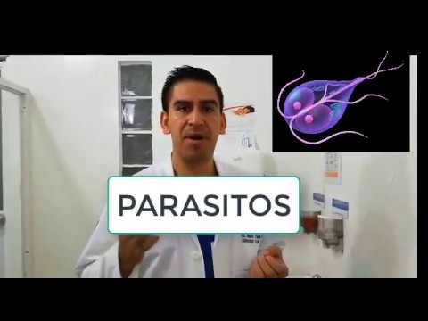 Vídeo: Enteritis Bacteriana En Hàmsters